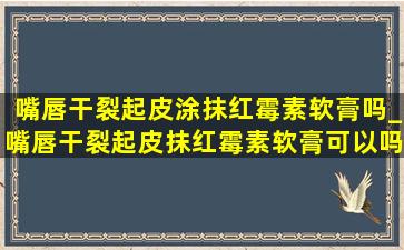 嘴唇干裂起皮涂抹红霉素软膏吗_嘴唇干裂起皮抹红霉素软膏可以吗