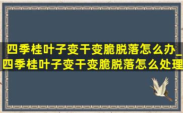 四季桂叶子变干变脆脱落怎么办_四季桂叶子变干变脆脱落怎么处理