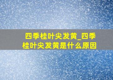 四季桂叶尖发黄_四季桂叶尖发黄是什么原因