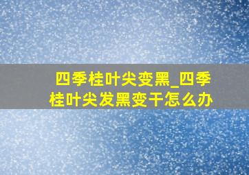 四季桂叶尖变黑_四季桂叶尖发黑变干怎么办