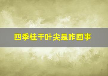 四季桂干叶尖是咋回事