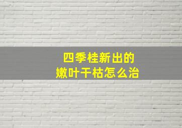 四季桂新出的嫩叶干枯怎么治