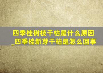 四季桂树枝干枯是什么原因_四季桂新芽干枯是怎么回事