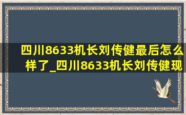 四川8633机长刘传健最后怎么样了_四川8633机长刘传健现在怎么样