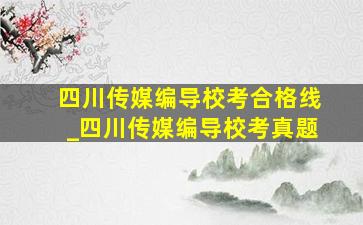 四川传媒编导校考合格线_四川传媒编导校考真题