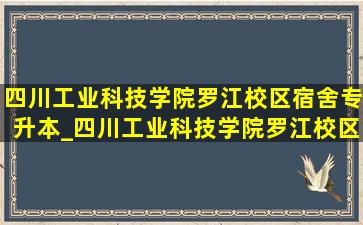 四川工业科技学院罗江校区宿舍专升本_四川工业科技学院罗江校区宿舍