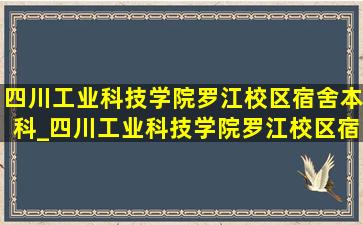 四川工业科技学院罗江校区宿舍本科_四川工业科技学院罗江校区宿舍