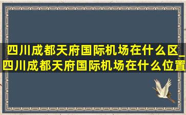 四川成都天府国际机场在什么区_四川成都天府国际机场在什么位置