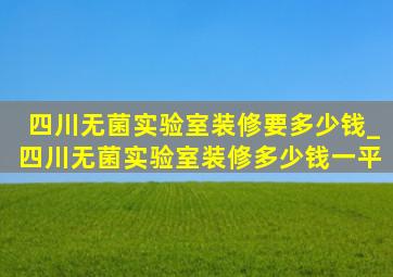 四川无菌实验室装修要多少钱_四川无菌实验室装修多少钱一平