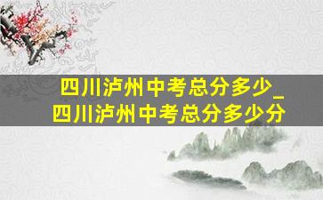 四川泸州中考总分多少_四川泸州中考总分多少分