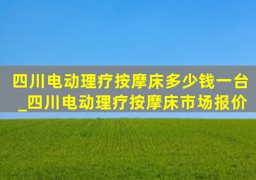 四川电动理疗按摩床多少钱一台_四川电动理疗按摩床市场报价