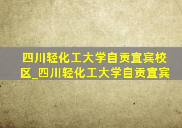 四川轻化工大学自贡宜宾校区_四川轻化工大学自贡宜宾