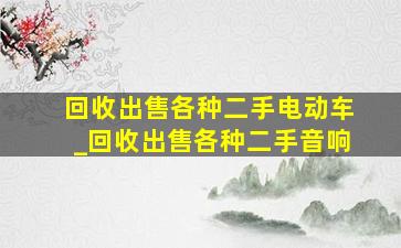 回收出售各种二手电动车_回收出售各种二手音响