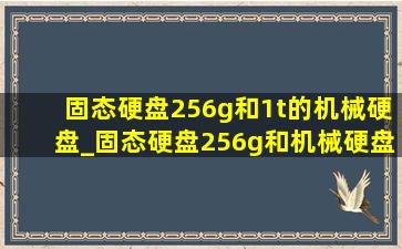 固态硬盘256g和1t的机械硬盘_固态硬盘256g和机械硬盘1t哪个好