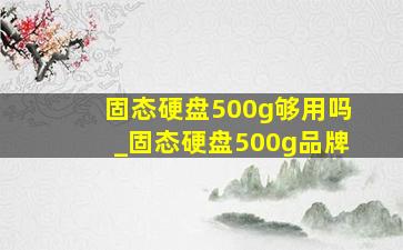 固态硬盘500g够用吗_固态硬盘500g品牌