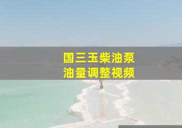 国三玉柴油泵油量调整视频