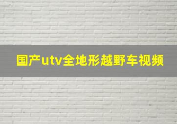 国产utv全地形越野车视频