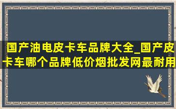 国产油电皮卡车品牌大全_国产皮卡车哪个品牌(低价烟批发网)最耐用