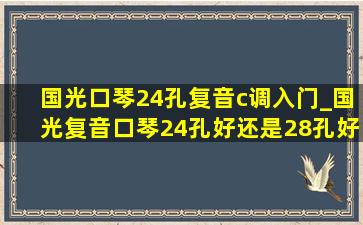 国光口琴24孔复音c调入门_国光复音口琴24孔好还是28孔好