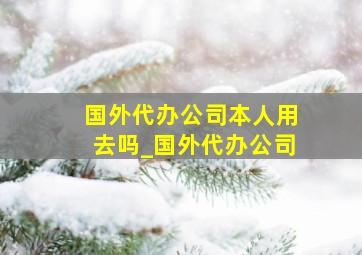 国外代办公司本人用去吗_国外代办公司