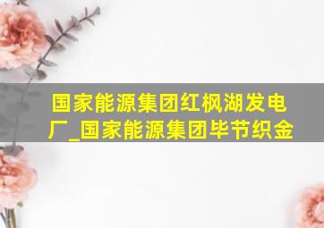 国家能源集团红枫湖发电厂_国家能源集团毕节织金