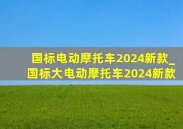 国标电动摩托车2024新款_国标大电动摩托车2024新款