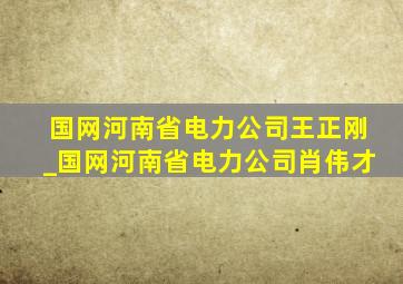 国网河南省电力公司王正刚_国网河南省电力公司肖伟才