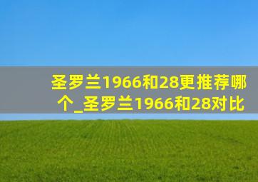 圣罗兰1966和28更推荐哪个_圣罗兰1966和28对比