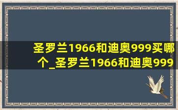 圣罗兰1966和迪奥999买哪个_圣罗兰1966和迪奥999哪个好看