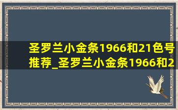 圣罗兰小金条1966和21色号推荐_圣罗兰小金条1966和21色号价位