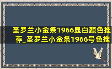 圣罗兰小金条1966显白颜色推荐_圣罗兰小金条1966号色推荐