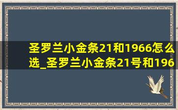 圣罗兰小金条21和1966怎么选_圣罗兰小金条21号和1966哪个好