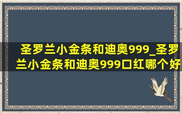 圣罗兰小金条和迪奥999_圣罗兰小金条和迪奥999口红哪个好