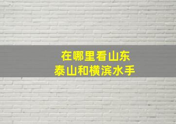 在哪里看山东泰山和横滨水手