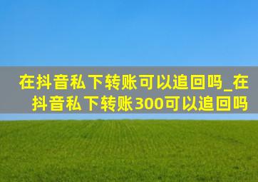 在抖音私下转账可以追回吗_在抖音私下转账300可以追回吗