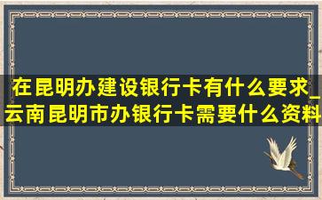 在昆明办建设银行卡有什么要求_云南昆明市办银行卡需要什么资料