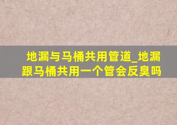 地漏与马桶共用管道_地漏跟马桶共用一个管会反臭吗