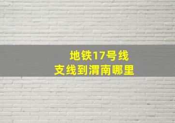 地铁17号线支线到渭南哪里