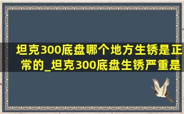 坦克300底盘哪个地方生锈是正常的_坦克300底盘生锈严重是真的吗