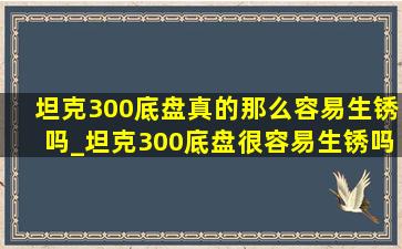 坦克300底盘真的那么容易生锈吗_坦克300底盘很容易生锈吗