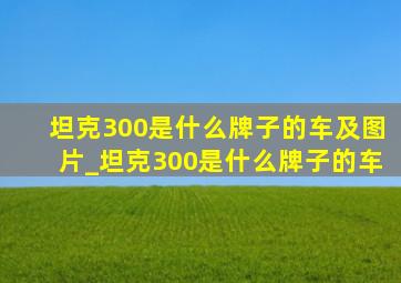 坦克300是什么牌子的车及图片_坦克300是什么牌子的车