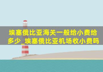 埃塞俄比亚海关一般给小费给多少_埃塞俄比亚机场收小费吗