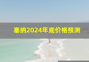 塞纳2024年底价格预测