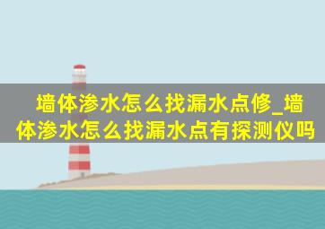 墙体渗水怎么找漏水点修_墙体渗水怎么找漏水点有探测仪吗