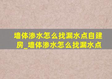 墙体渗水怎么找漏水点自建房_墙体渗水怎么找漏水点