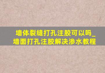 墙体裂缝打孔注胶可以吗_墙面打孔注胶解决渗水教程