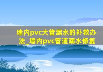 墙内pvc大管漏水的补救办法_墙内pvc管道漏水修复