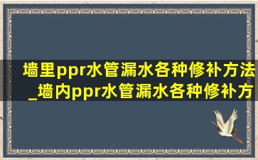 墙里ppr水管漏水各种修补方法_墙内ppr水管漏水各种修补方法