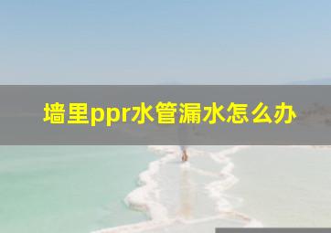 墙里ppr水管漏水怎么办