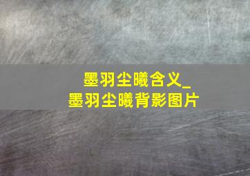 墨羽尘曦含义_墨羽尘曦背影图片